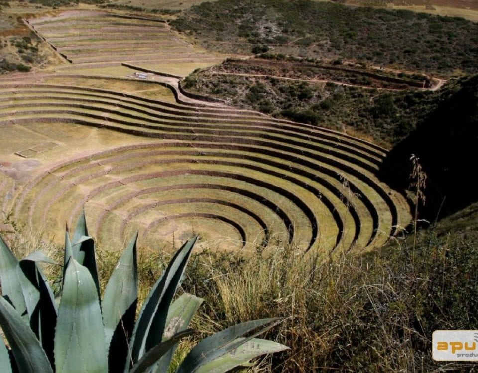 Moray Cusco Historic Site Incas Peru Film Documentary Photo TV Video Production Service Chefs Table