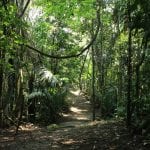 Iquitos Jungle Amazon River Peru Film TV Video Production Bad Ideas