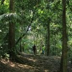 Iquitos Jungle Amazon River Peru Film TV Video Production Bad Ideas