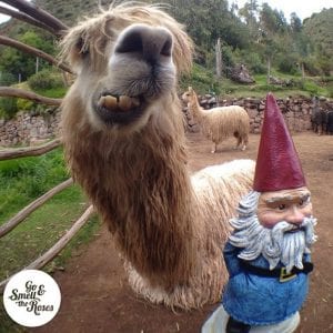 Roaming Gnome Machu Picchu Cusco Historic Sites